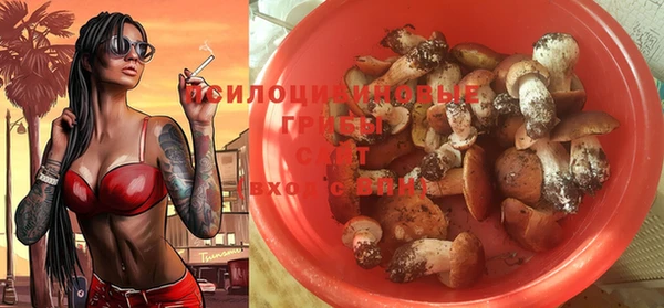 прущая мука Верея