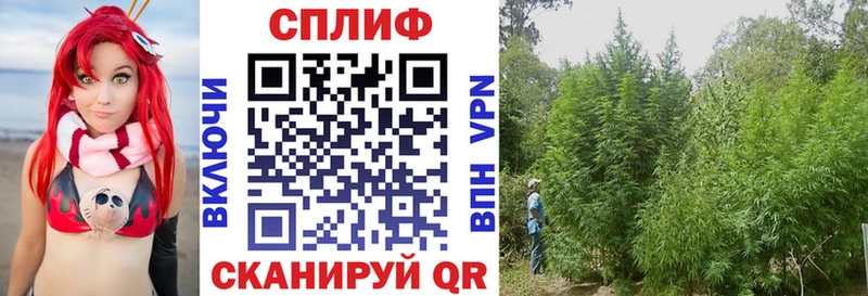 Конопля планчик  купить  цена  KRAKEN сайт  Жуков 